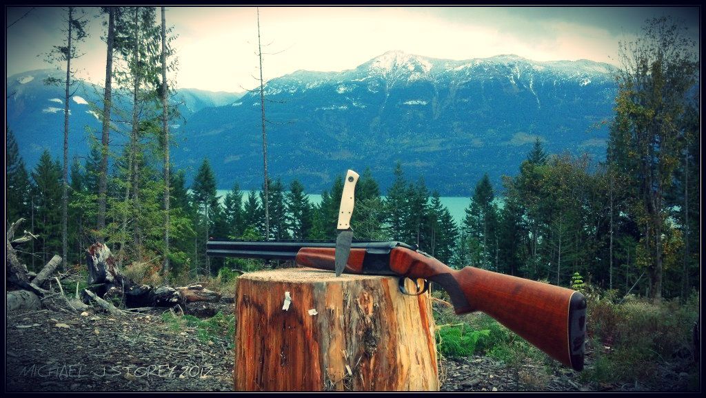 2012-10-22_Bushfinger.jpg