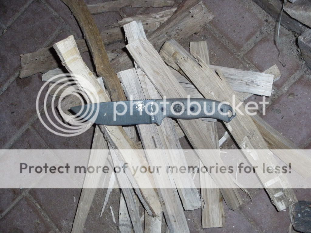 DSCF1216.jpg
