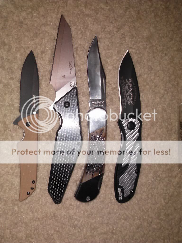 CAM00356_zps0fd55f76.jpg
