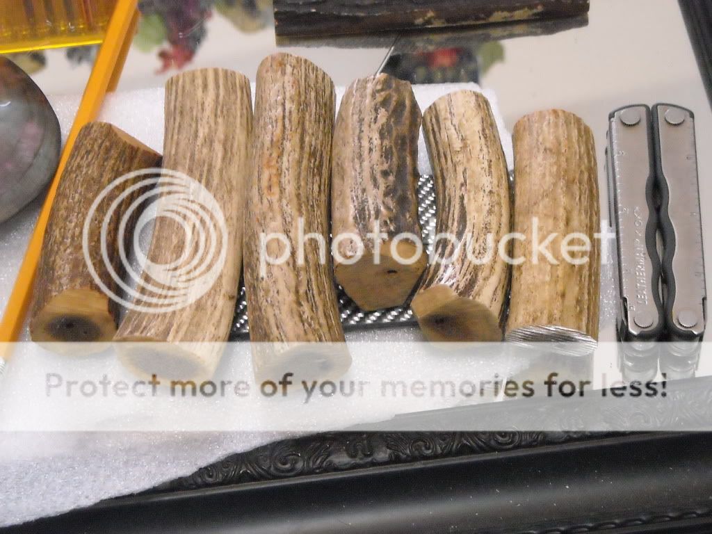 DSCN1292.jpg