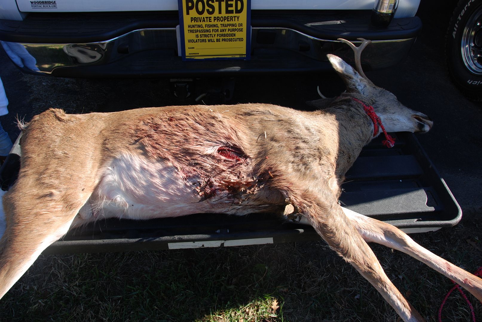 Archery2010009.jpg