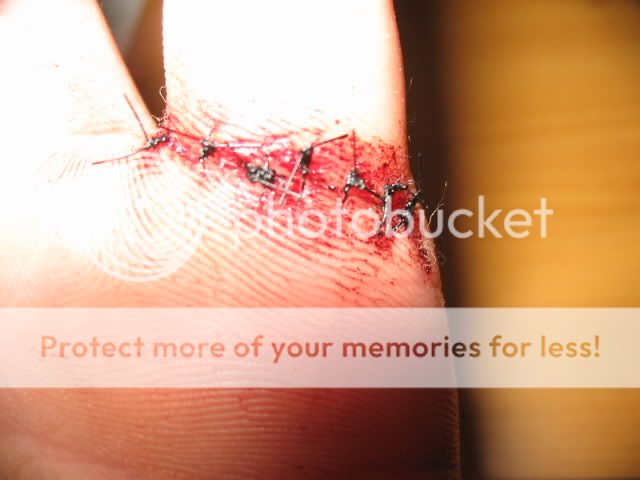 cutofffinger003-1.jpg