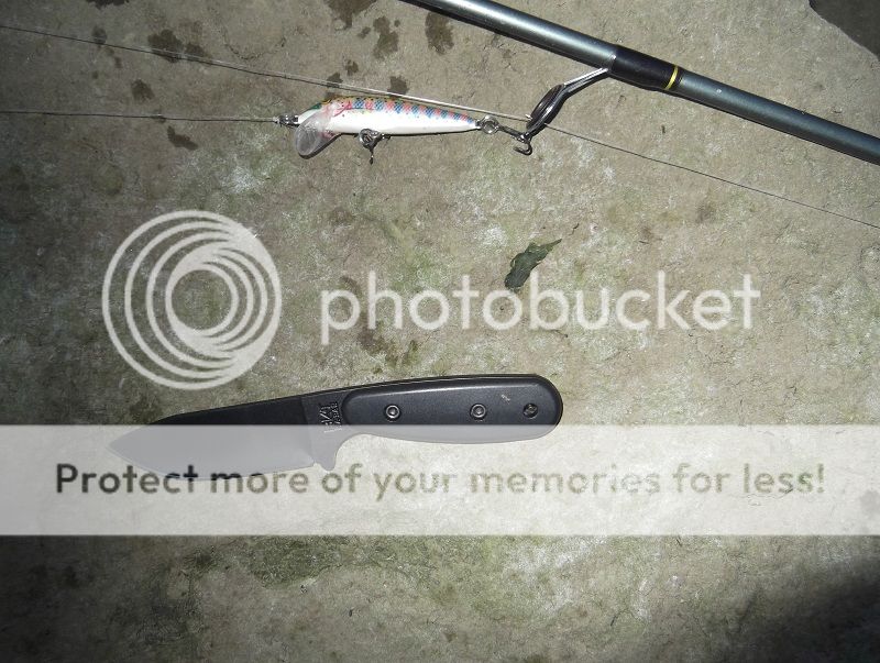 Bk14Fishingpole_zps90054ea9.jpg