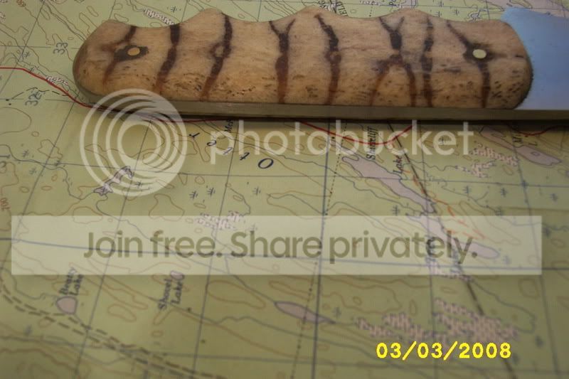 tigercoralhandle.jpg