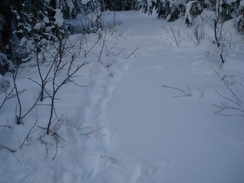 WosleyCreek012.jpg