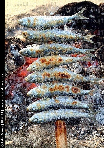 Espeto.jpg