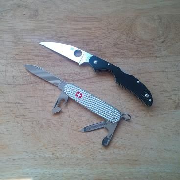 kiwi402_zps71095bd5.jpg