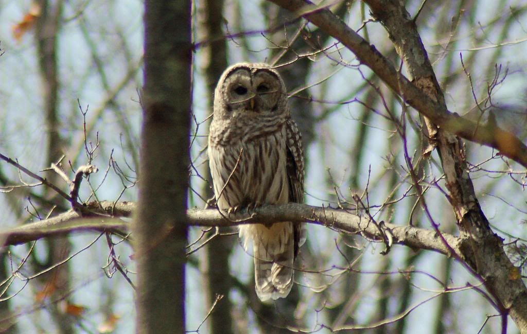 DSC_0007-4.jpg