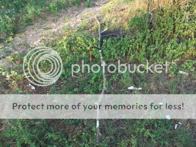 100_2060.jpg