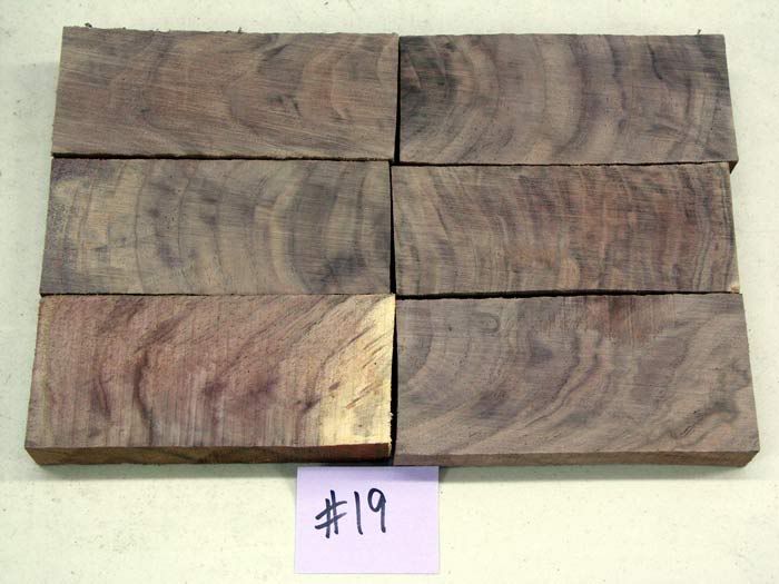 walnut19.jpg