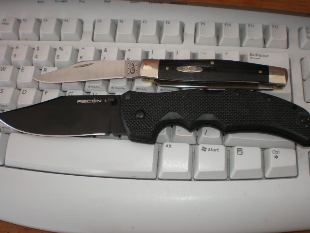 kaylieghpup003.jpg