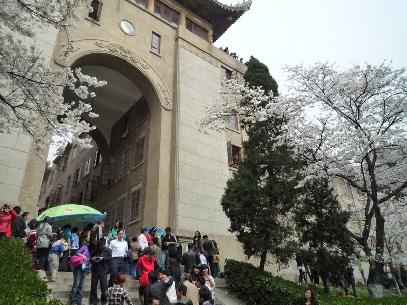 P1050191.jpg