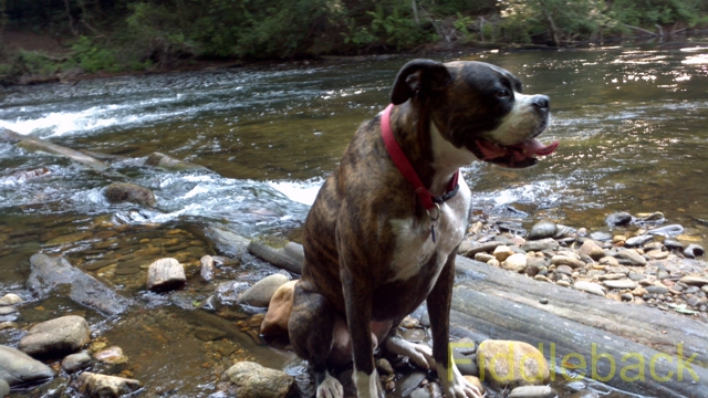 2011090120110825_093935_443-vi.jpg