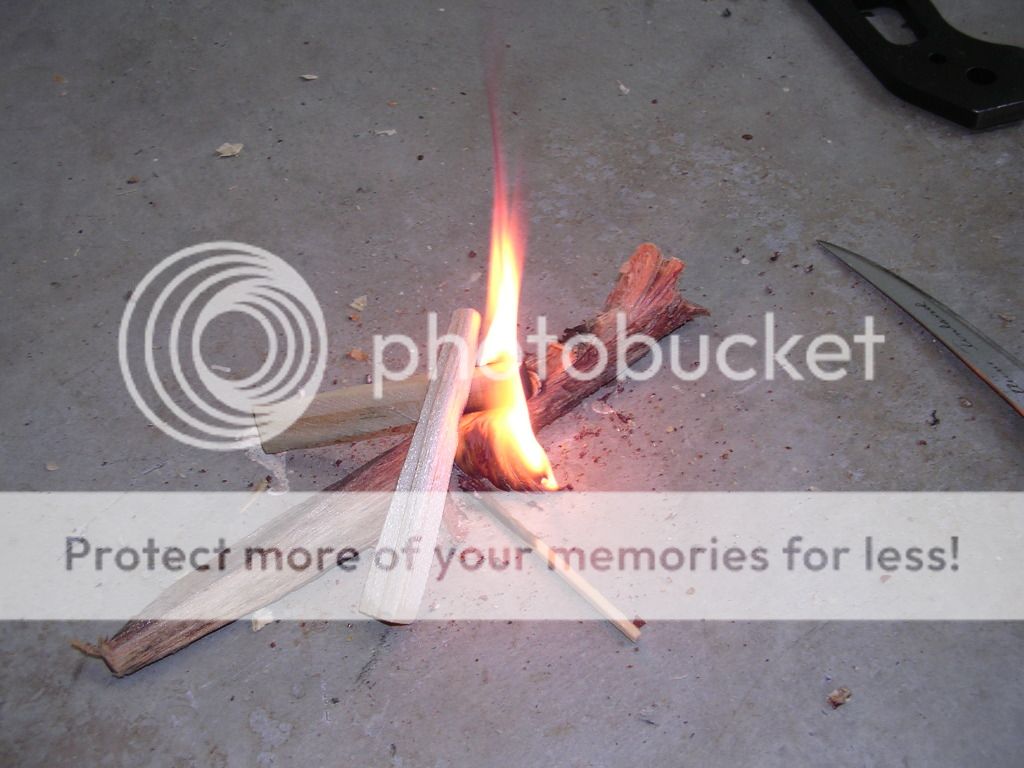 Firecontest026.jpg