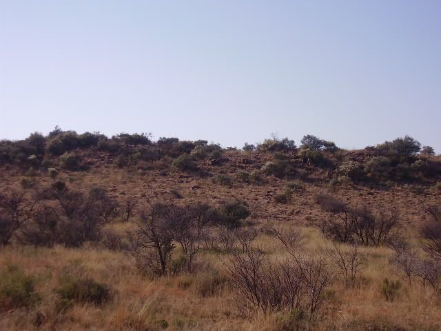 P5290074.jpg