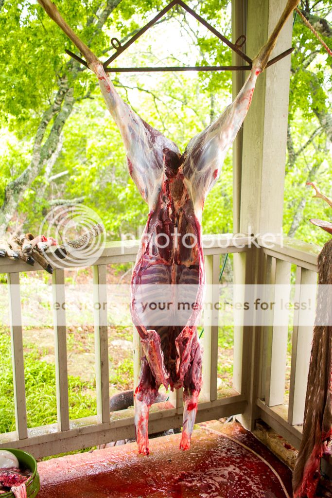 IMG_1646_zpsxm4tc78r.jpg~original