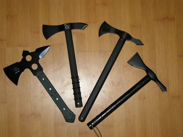 4hawks.jpg
