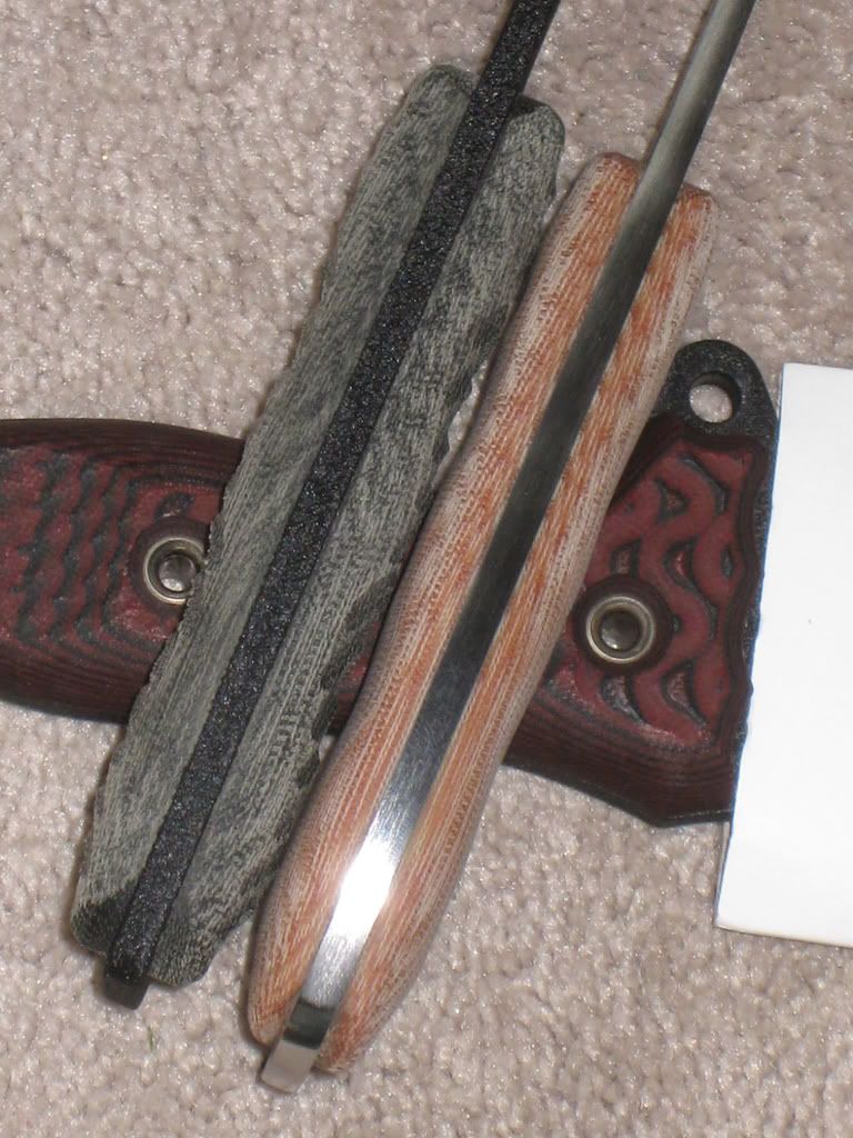 Picture349.jpg