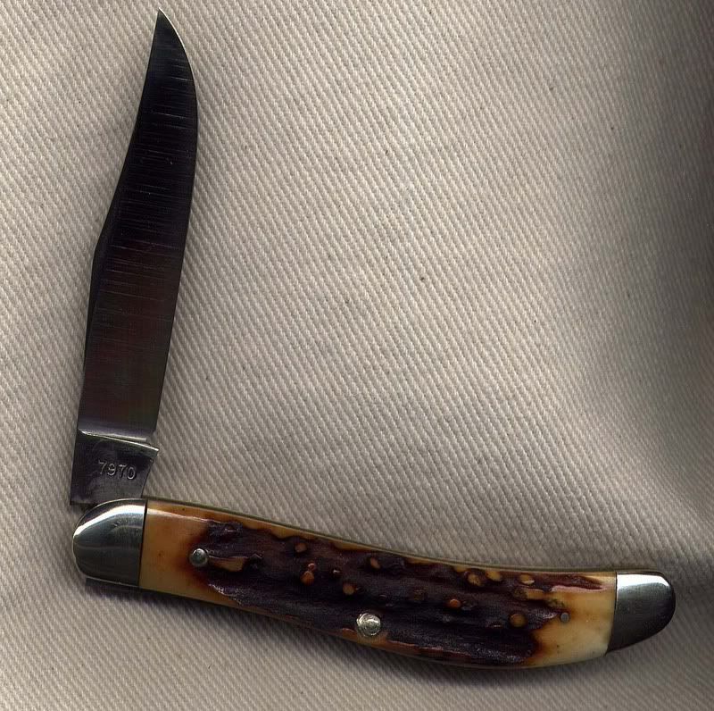 cargillsow002.jpg