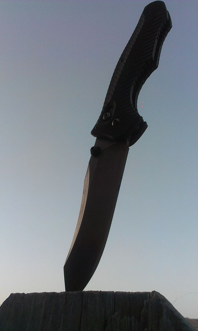 IMAG1881_zps37de11c7.jpg