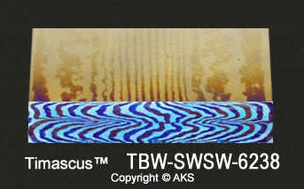TBW-SWSW-6238-s.jpg