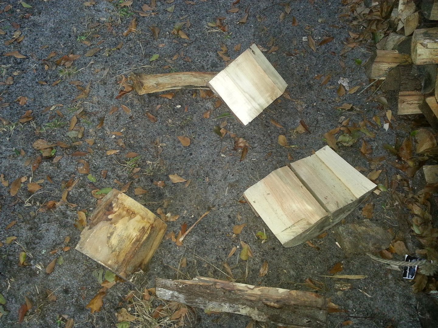 20130111_172212.jpg