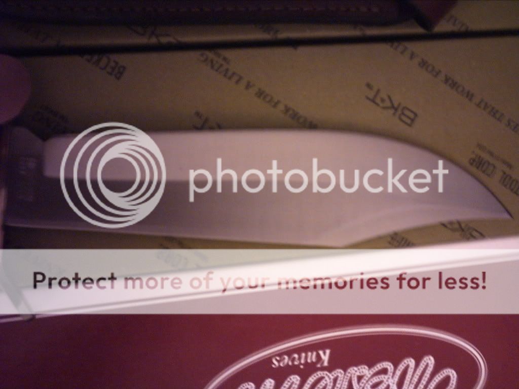 PICT0003-5.jpg