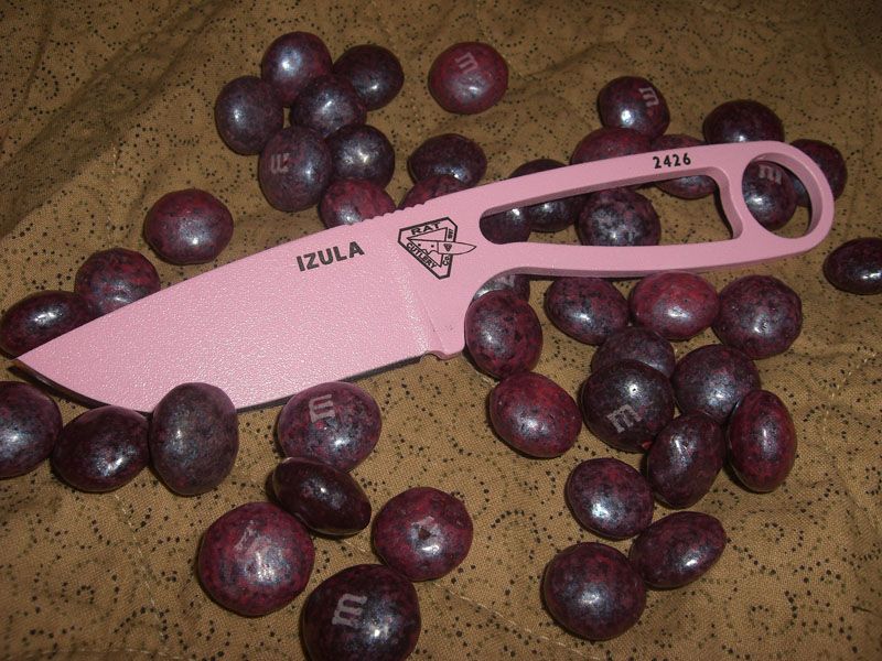 CIMG2235small.jpg