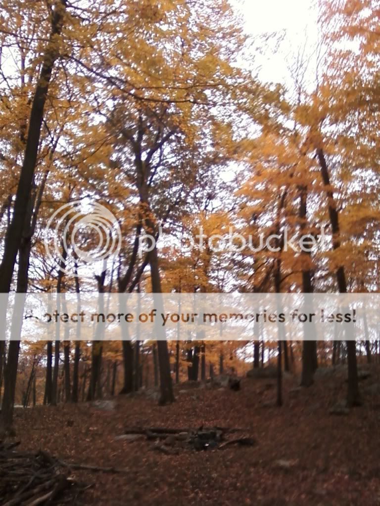 Newpics037-2.jpg