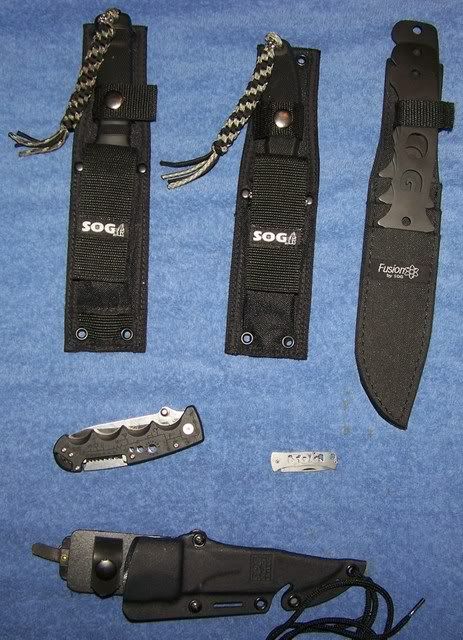 sogcollection.jpg