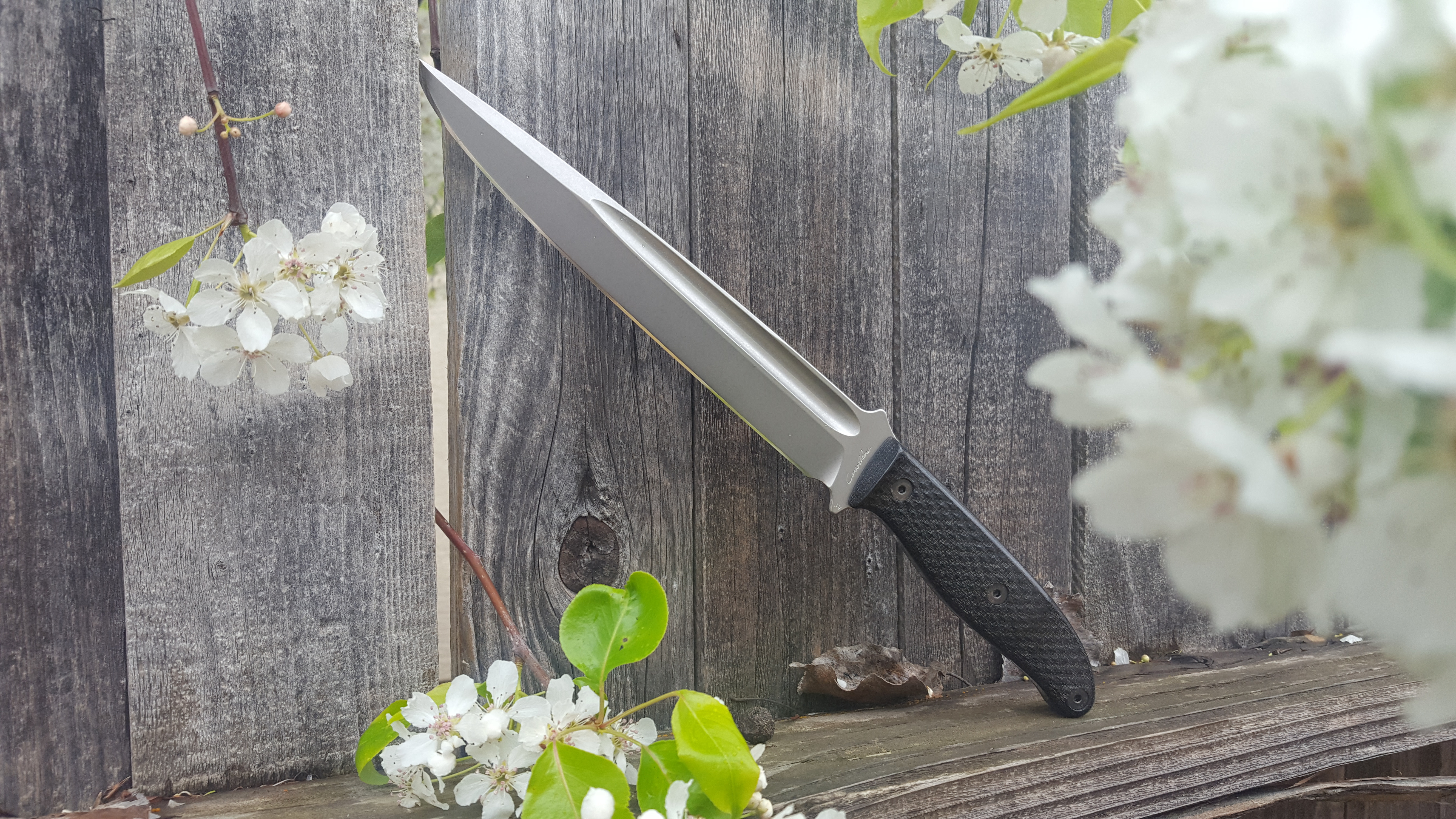 aTaab2e.jpg