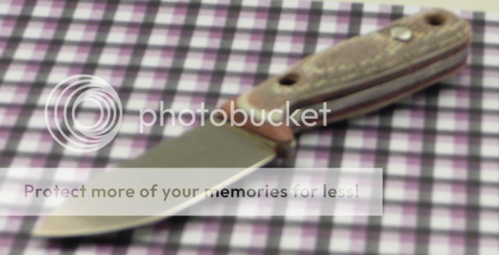 BothSidesAlmostThere1_zpsb761efb6.jpg