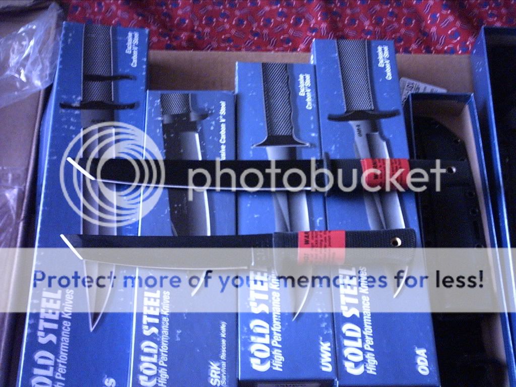 PICT0015-2.jpg
