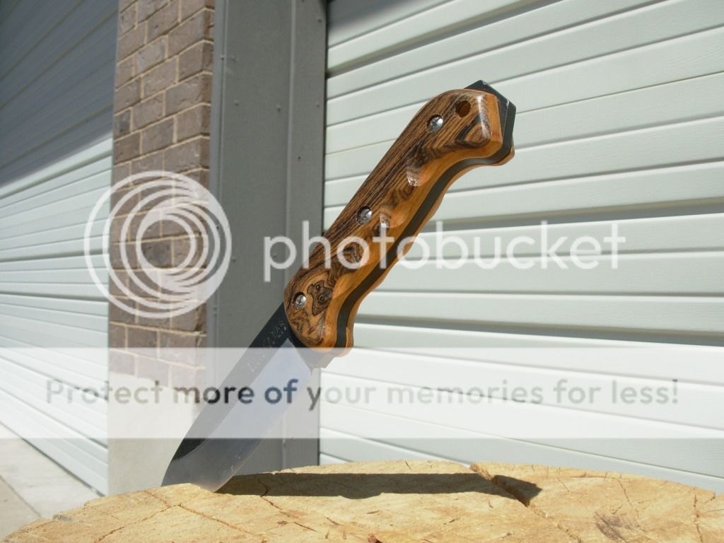DSCN1536.jpg