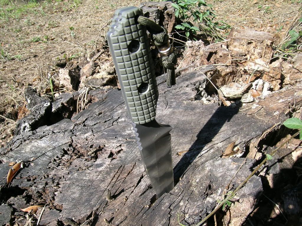 DSCN3355.jpg