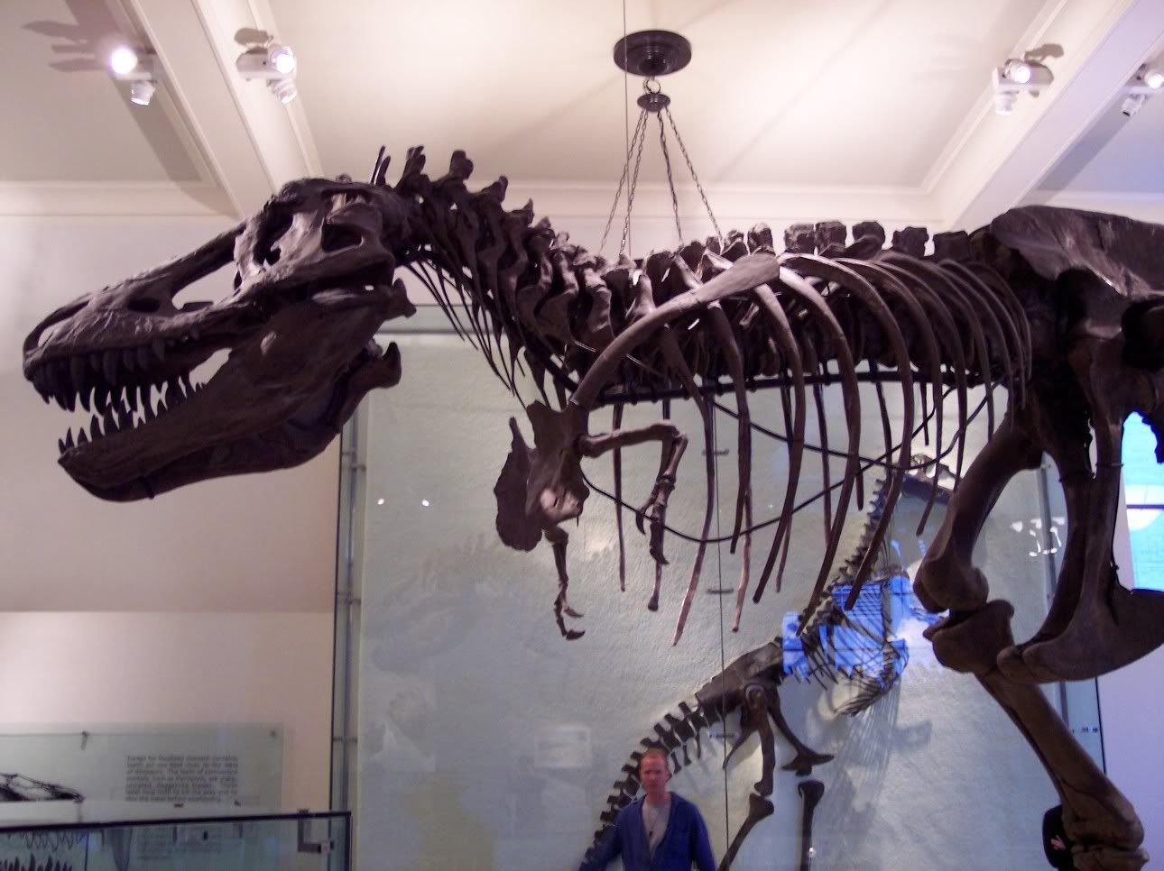 Museum049.jpg