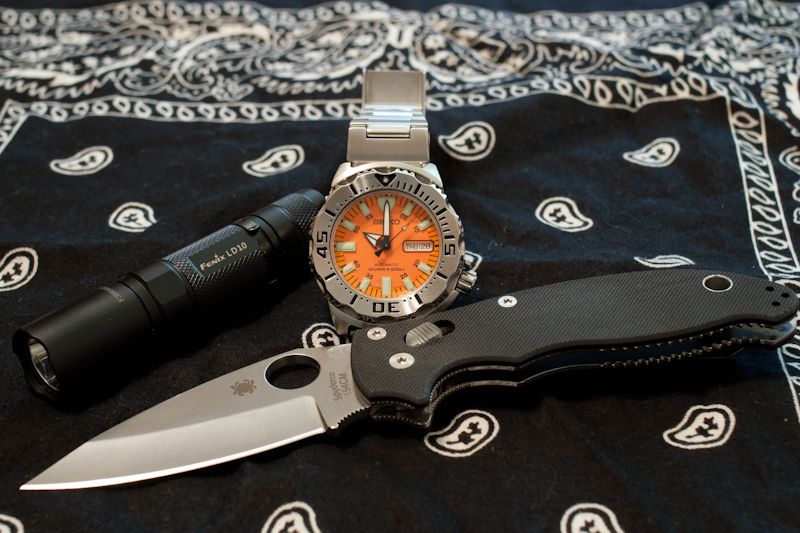spydercoFenix-1.jpg