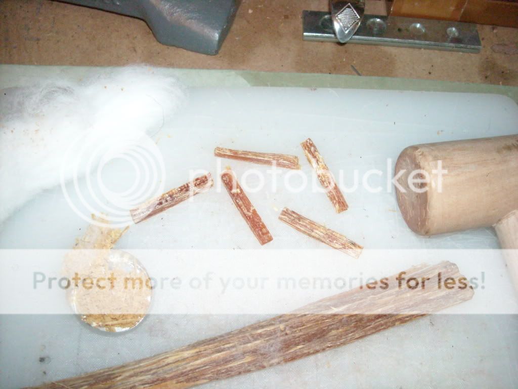 DSCN2905.jpg