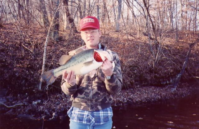 bucketmouth.jpg