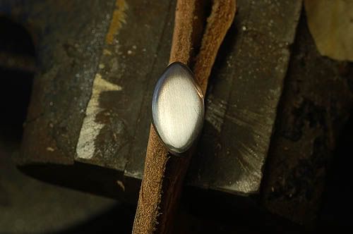 Tquillionsheath9.jpg