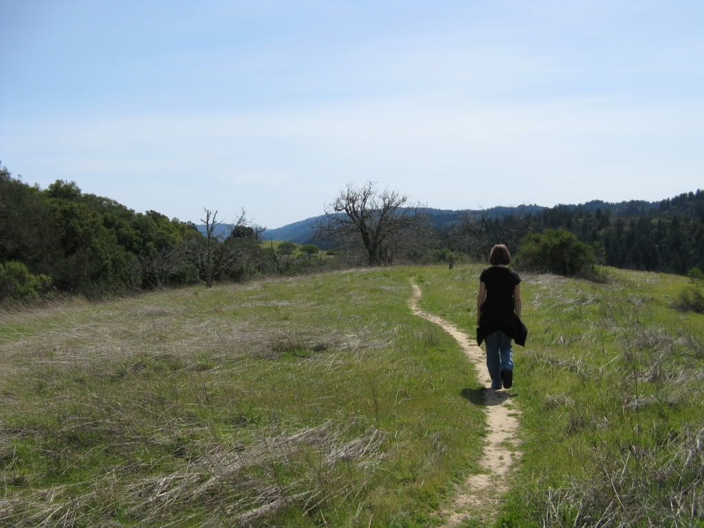 Picture003.jpg