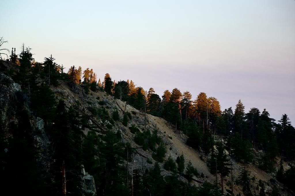 _DSC0368_zps7626d51d.jpg