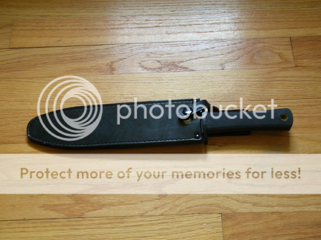 DSCN2520.jpg