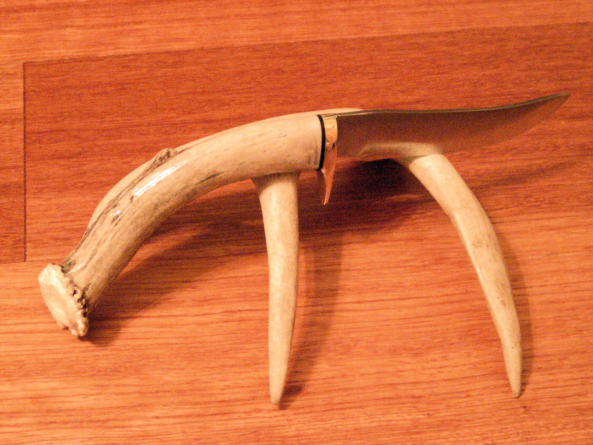 DSCN2287.JPG
