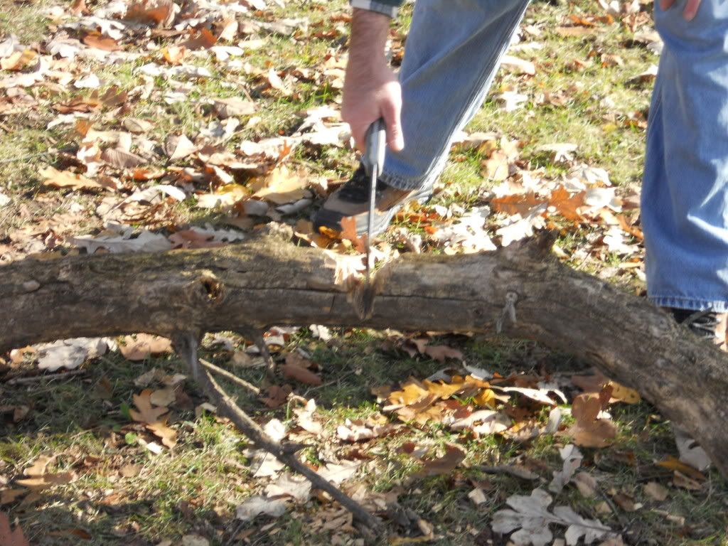 NOVEMBER5TH2011010.jpg