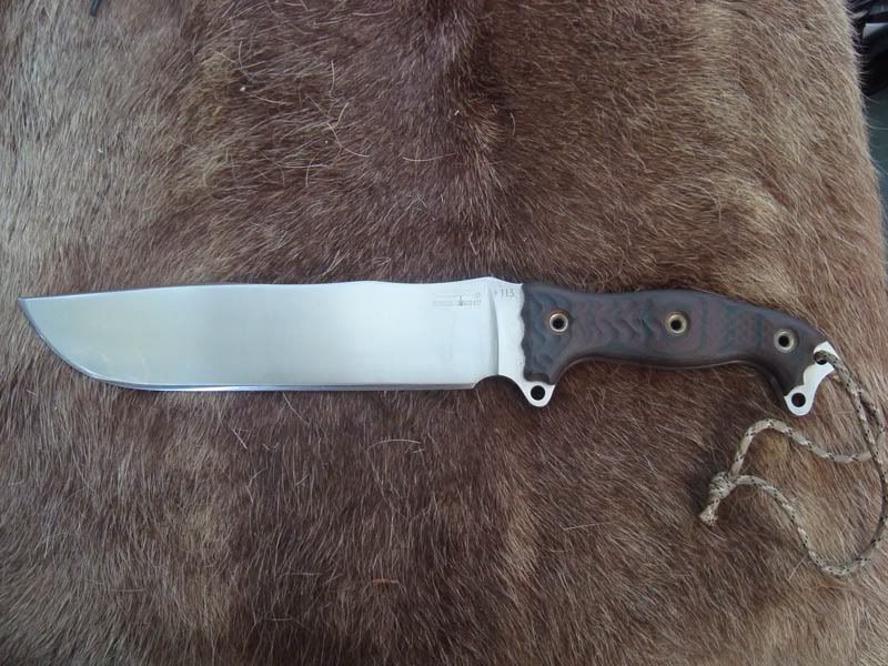 sharp-1.jpg