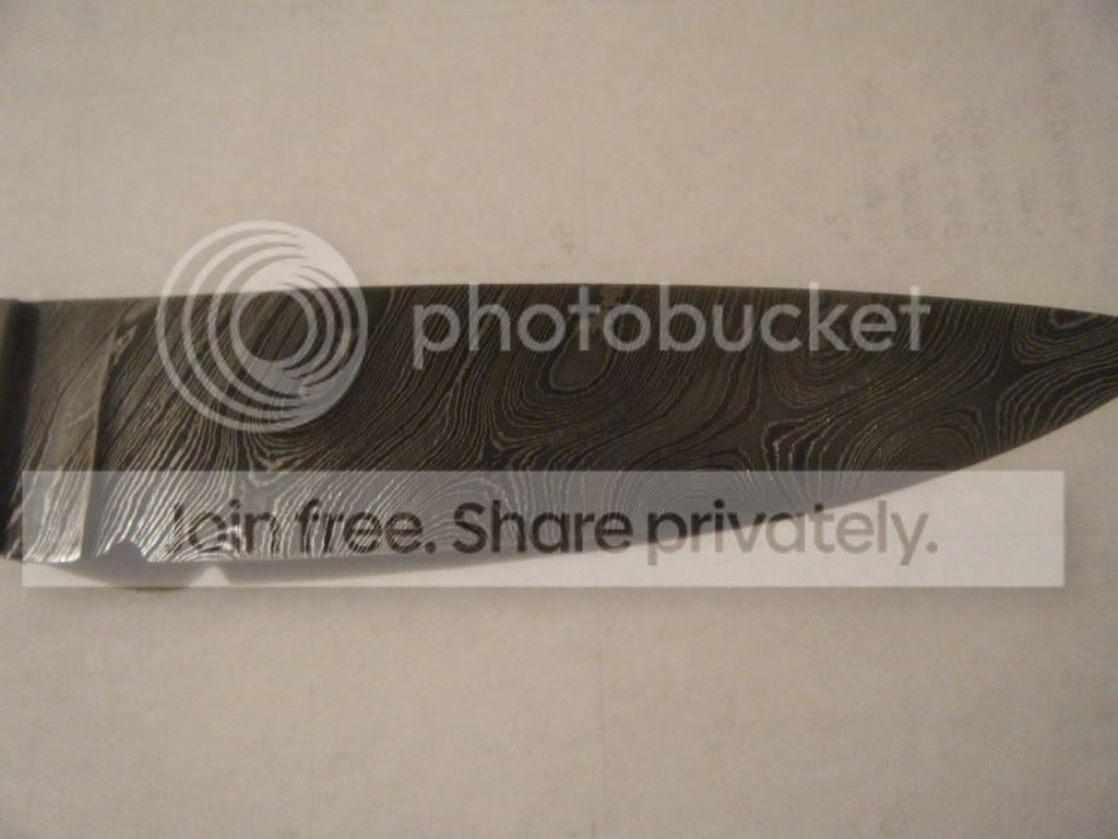 DSCF0309.jpg