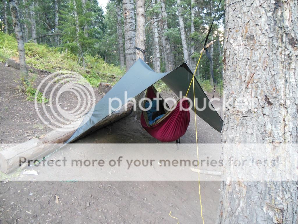 DSCN0085_zps9269fe18.jpg