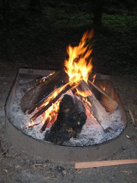 939cdbe9.jpg