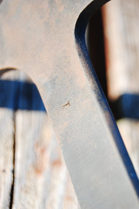 DSC_2318.JPG